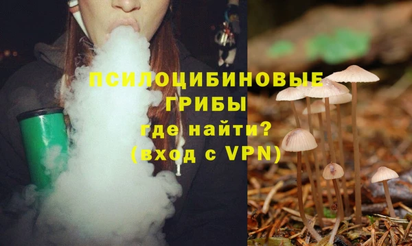шишки Армянск
