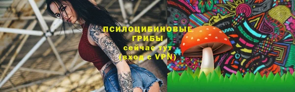 spice Арсеньев